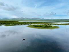 -花湖生态旅游区