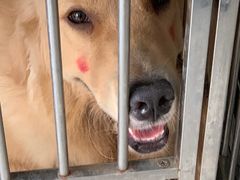 -美美酱宠物(外运路小区店)