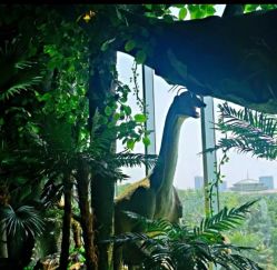 -恐龙探索乐园(磁器口店)