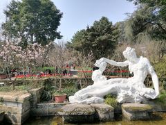 -南山植物园
