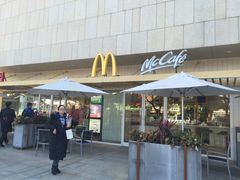 -麦当劳(塔园路店)