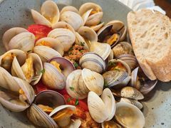 -Apollo·西班牙小酒馆(安福路店)