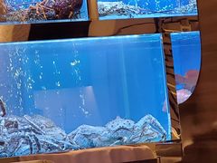 -金悦轩海鲜酒家(银河店)