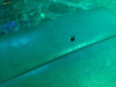 -清真华宇开锅羊肉