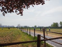 -汉长安城未央宫国家考古遗址公园