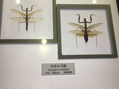 -上海昆虫博物馆
