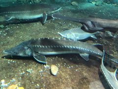 -福州罗源湾海洋世界旅游区