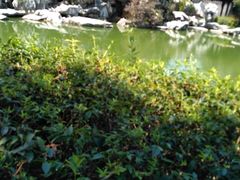 -口岸雕花楼