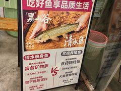 -费明中罗非鱼(大石坝店)