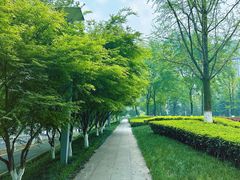 -龙头寺公园