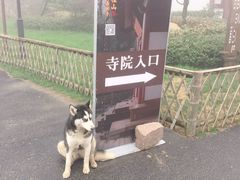 -径山寺