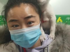 -半岛宠物医院24小时(科华中路店)