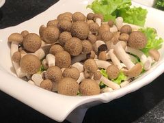 -大匠工房古船木艺术餐厅·猪肚鸡专门店(长白仙岛店)