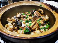 -红星光发煲仔饭(文海店)