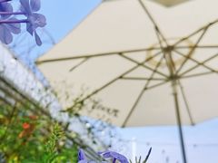 -北平小院设计酒店