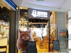 -藏猫猫咖啡主题馆(中央大道店)
