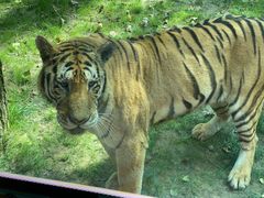 -北京野生动物园