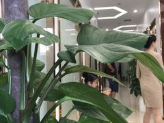 -宁波壹加壹口腔·矫正种植中心