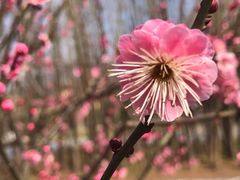 -大宁灵石公园西门票处