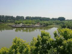 -东郊湿地公园
