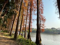 -三水森林公园