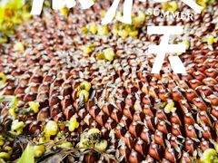 -大观篆新农贸市场