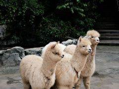 -昆明青龙峡风景区