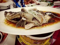 清蒸青斑-海景壹号大酒店(滨湖店)