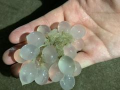 -南澳海滩