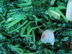 -贵长农家乐·北海湿地