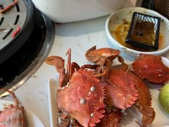 -半岛听涛蒸汽海鲜自助(K11店)