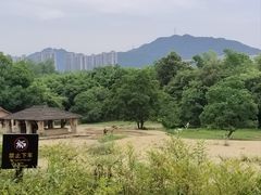 -杭州野生动物世界