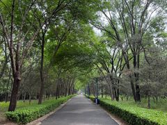 -森林公园(尖草坪区)