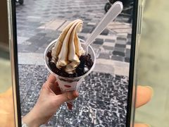 -麦丽丝红油辣椒冰淇淋(江家巷店)