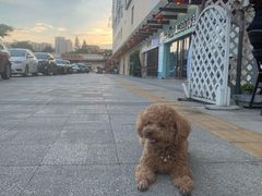 -农汤老店(顺联公园里店)