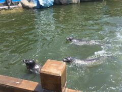 -华夏文旅海洋公园