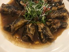 -卓正国际酒店·膳衡食府