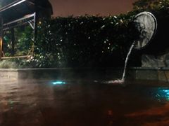 -杭州第一世界大酒店·云曼温泉