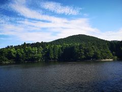 -庐山风景区花径公园