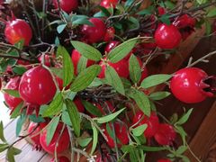 -聚福宝合苑食府(南头镇店)