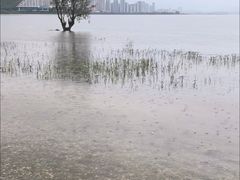 -大理洱海