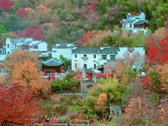-塔川景区
