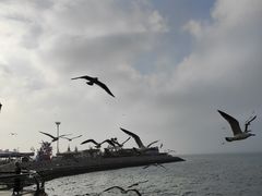 -大连海昌东方水城
