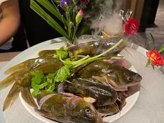 -野山舂·贵州现舂酸汤牛肉(民生路店)