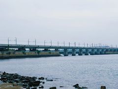 -厦门市图书馆(集美新城馆区)