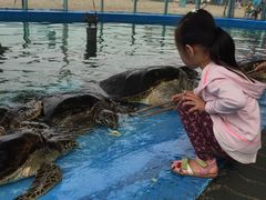 -北戴河圣蓝海洋公园