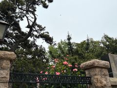 -青岛第二海水浴场