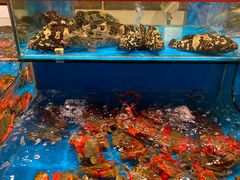 水产区-谊荣海鲜大牌档(石湖店)