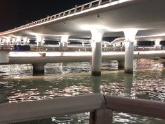 -演武大桥观景平台