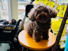 -My Way Town买味堂·东南亚餐厅(亦庄店)